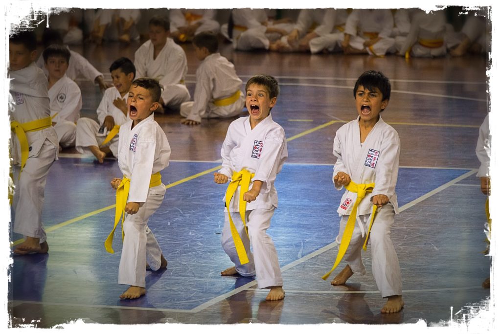 scuola karate castelfranco