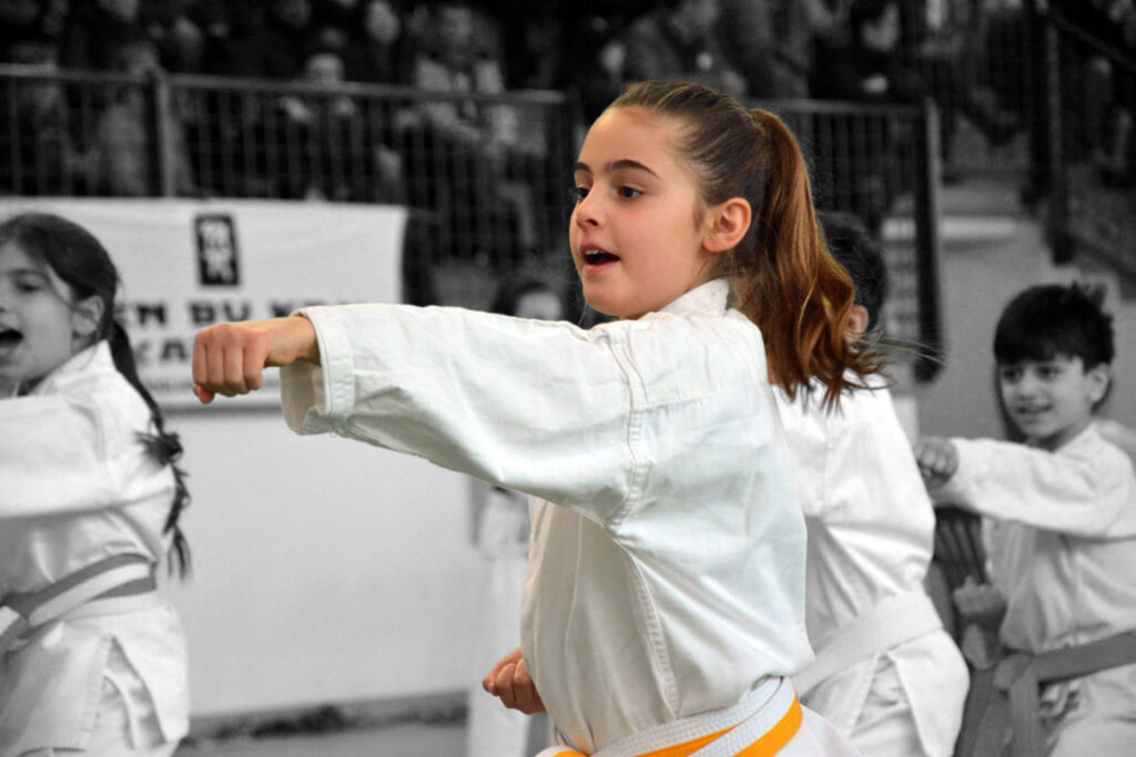 SCUOLA KARATE CASTELFRANCO